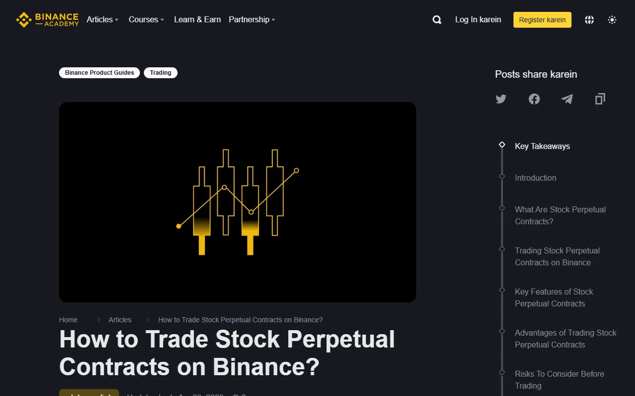 Binance Academy کے حقیقی Stock Perpetual guide page کا screenshot، جس میں perpetual contracts کا عنوان اور risk sections دکھائے گئے ہیں